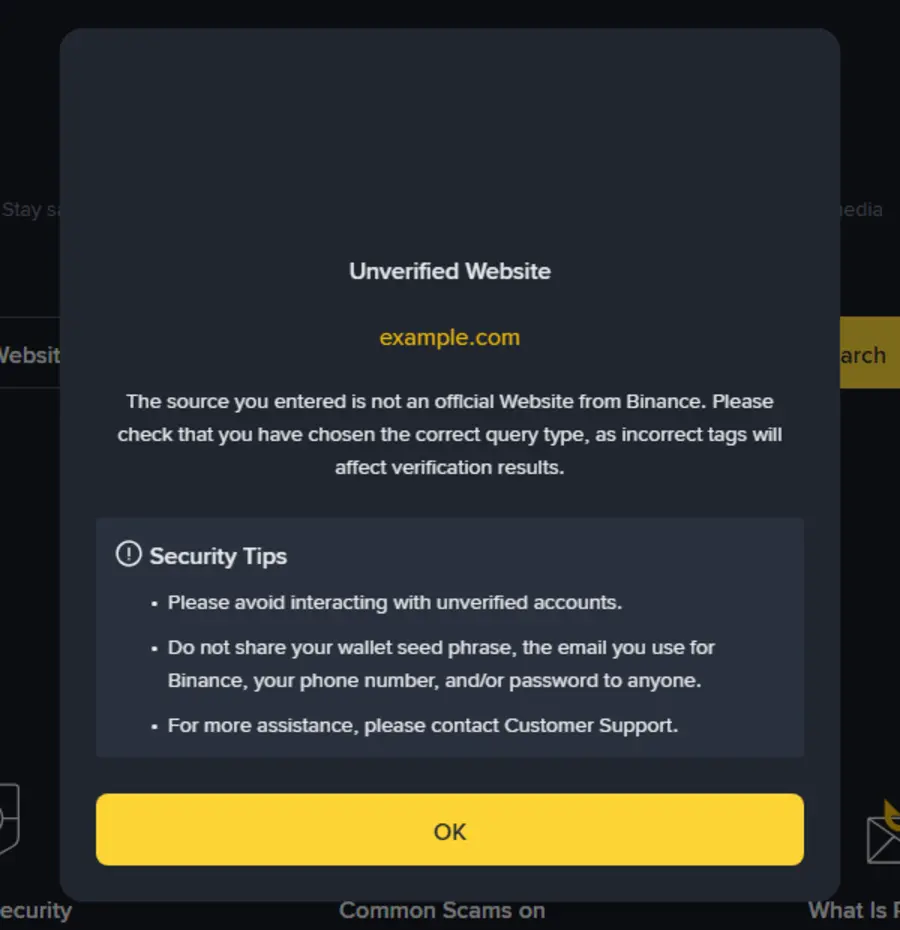 Binance Verify கருவியில் example.com என்ற முகவரியை சரிபார்த்தபோது திரையில் வந்த Unverified Website எச்சரிக்கை சாளரமும் Security Tips பட்டியலும்